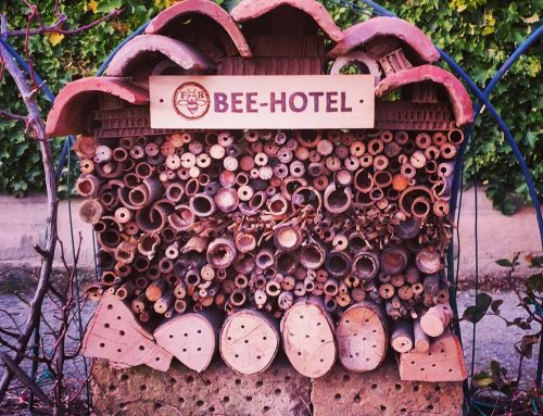 Una nuova Wild Bee Home – Bee Hotel per l’Eremo Elgram