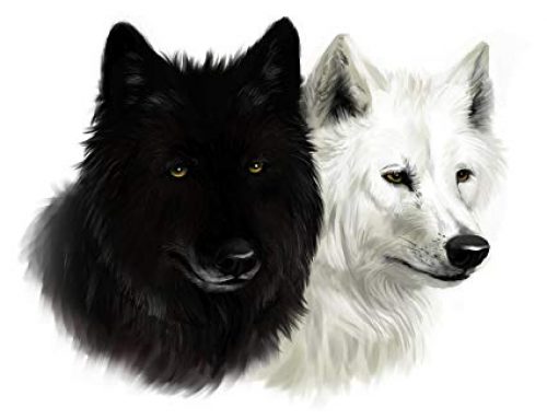 La leggenda Cherokee dei lupi bianco e nero che vivono in noi