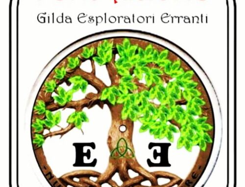FONDAZIONE Gilda Esploratori Erranti (Dal 02.11.2017)