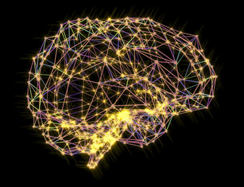 Le cinque età del cervello umano