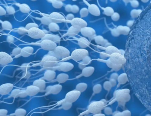 I ricordi traumatici si trasmettono tra generazioni attraverso gli spermatozoi (Testo del 31.05.2018)