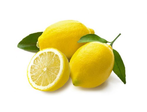 LIMONE (Citrus limon): come coltivarlo in giardino e in vaso