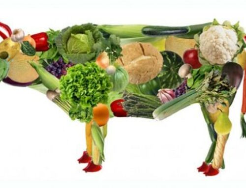 È naturale scegliere uno stile di vita vegano o vegetariano?