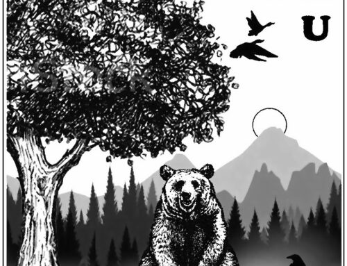 EX LIBRIS: Dopo 30 anni una nuova veste grafica per la mia etichetta!