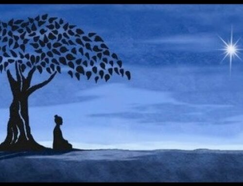 MEDITAZIONE VIPASSANA
