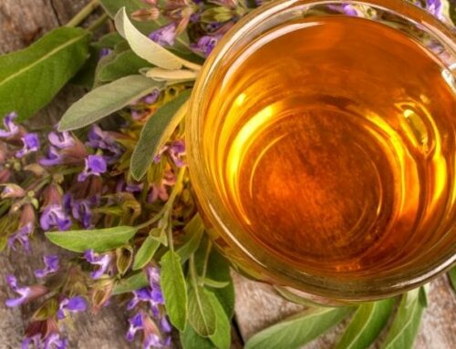 Tisana alla Salvia: Proprietà e Ricetta dell’Infuso