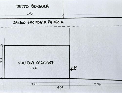 Progetto AREA VOLIERA 5 (Diamantini, Passeri DG, Quaglie, Canarini)