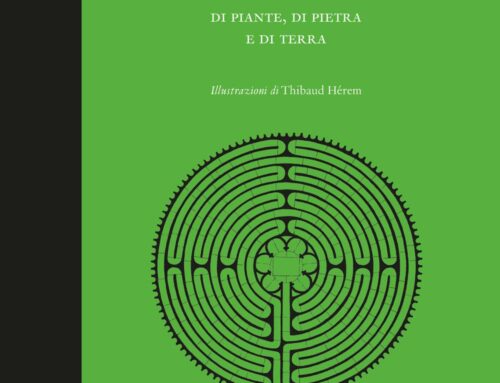 Libro: Labirinti di piante, di pietra e di terra di Angus Hyland (Autore), Kendra Wilson (Autore), Thibaud Herém (Illustratore)