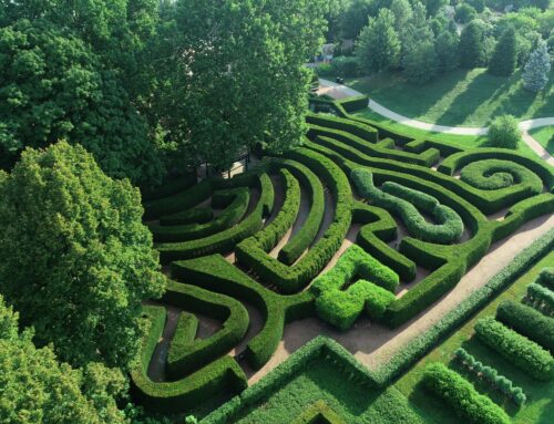 Progetto MAZELGRAM : Labirinti all’Eremo ElGram