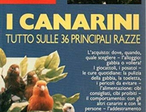 Libro: Canarini. Tutto sulle 36 principali razze – Gismondi Elisabetta