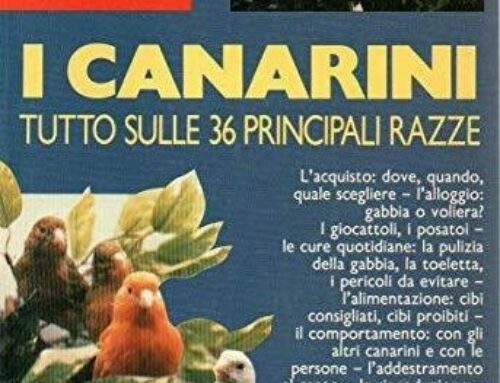 Libro: Canarini. Tutto sulle 36 principali razze – Gismondi Elisabetta