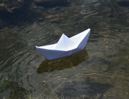 LIBRO: Carlo Rovelli – Sull’eguaglianza di tutte le cose – Lezioni americane