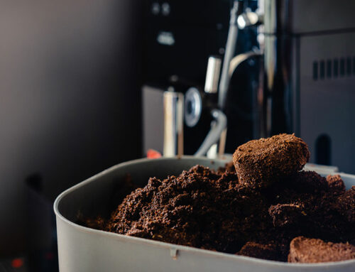 Come usare i fondi di caffè